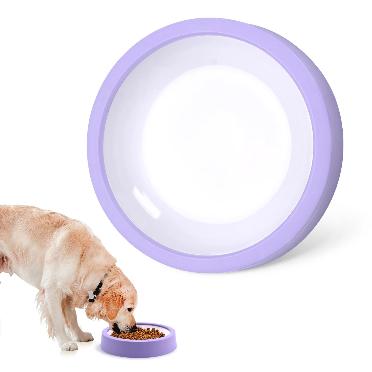 Wagmint Slow-Down Feeder Bowl