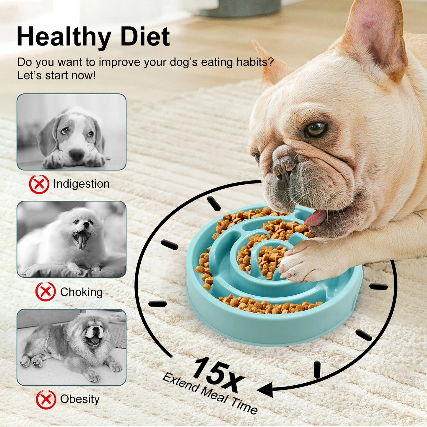 Wagmint Slow-Down Feeder Bowl