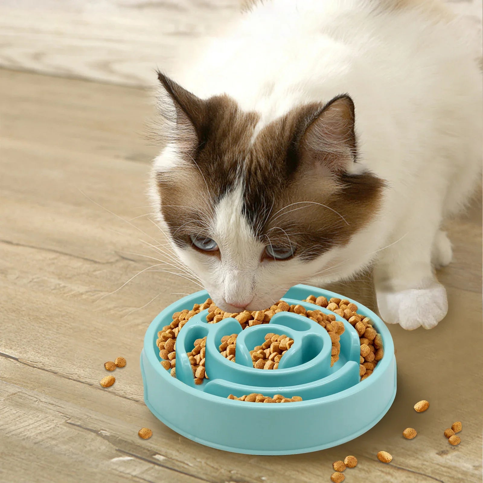 A cat eating from a Wagmint Slow-Down Feeder Bowl