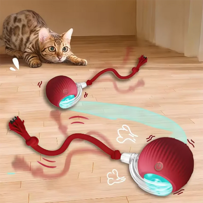 Wagmint Smart Cat Ball