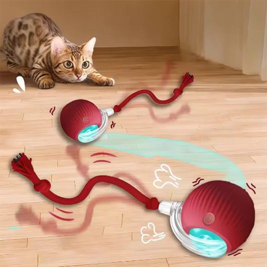 Wagmint Smart Cat Ball