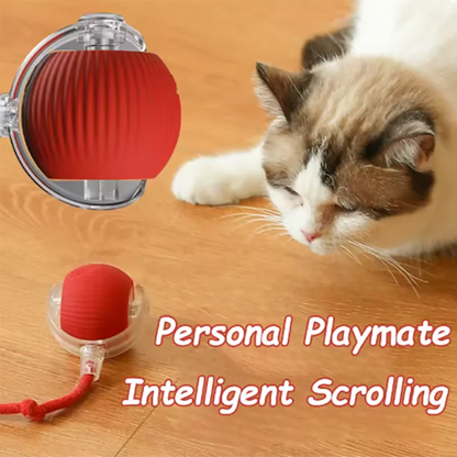 Wagmint Smart Cat Ball