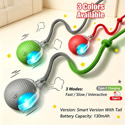 Wagmint Smart Cat Ball