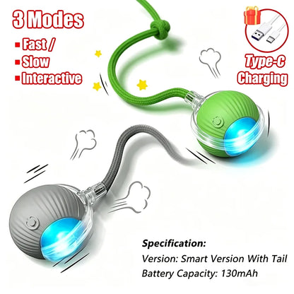 Wagmint Smart Cat Ball