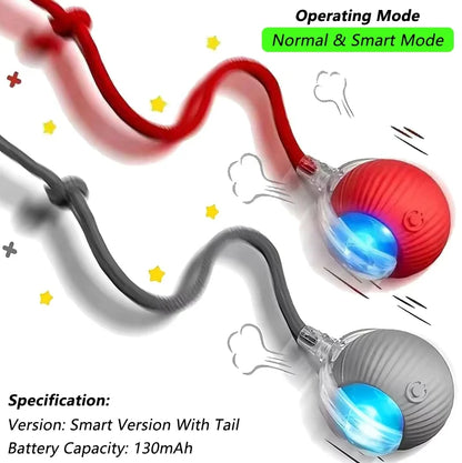 Wagmint Smart Cat Ball