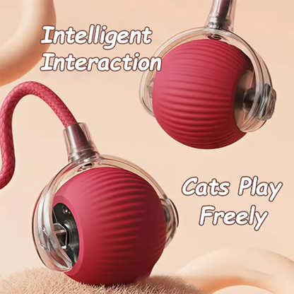 Wagmint Smart Cat Ball